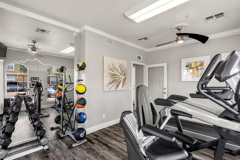 Cardio & Weight Training Equipment | And we don’t have just have cardio equipment, we have free weights too for all the muscle building you could want!
