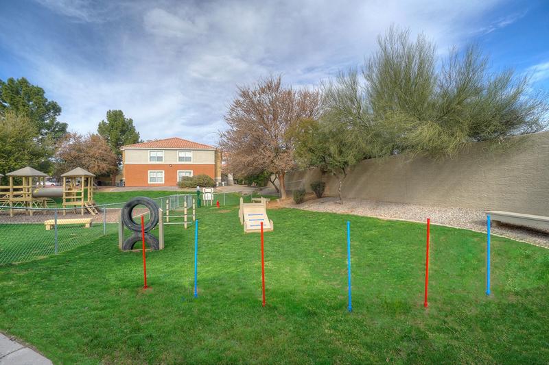 Agility Equipment | Or give them plenty of exercise with our agility course!