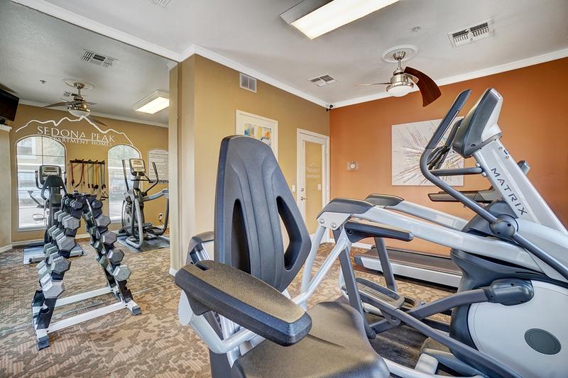 Cardio & Weight Training Equipment | And we don’t have just have cardio equipment, we have free weights too for all the muscle building you could want!