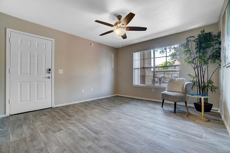 Living Room | Beautiful, large windows offer plenty of natural light!