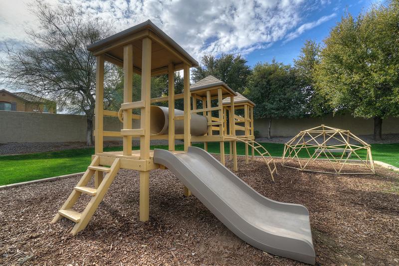 Playground | Have fun climbing our mini jungle gym or sliding down the slide!