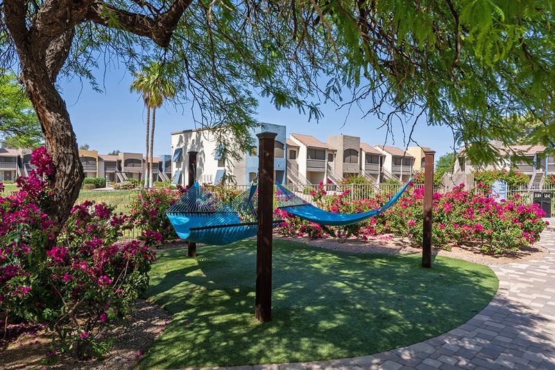 Poolside Hammocks | Lay back in one of our hammocks located next to the pool.