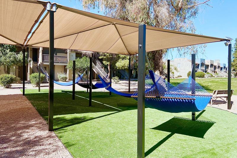 Hammock Garden | Our hammock garden is the perfect hangout spot to get the family together and enjoy the AZ weather.