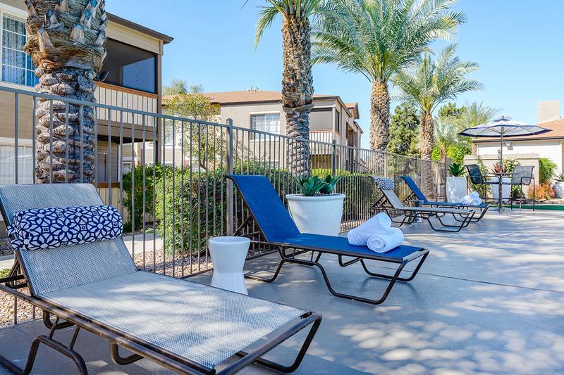 Pool Oasis | Work on your Arizona tan while enjoying our oasis hidden in the desert.