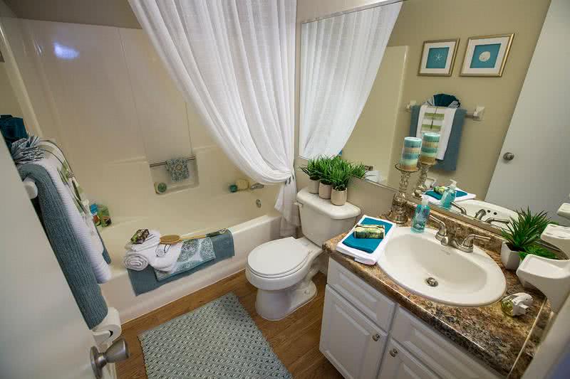 Bathroom | Every bathroom is newly remodeled featuring updated countertops, cabinetry, and wood-style flooring.