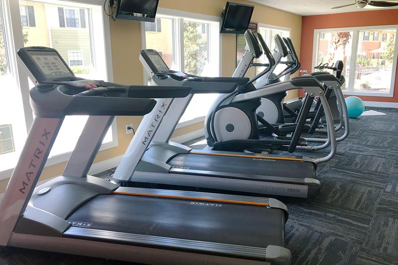 Cardio Equipment | Our fitness center has all the cardio equipment you could ask for.