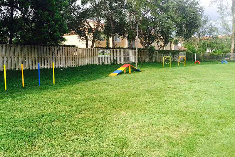 Agility Equipment | Our dog park features agility equipment for your pup to get some exercise.
