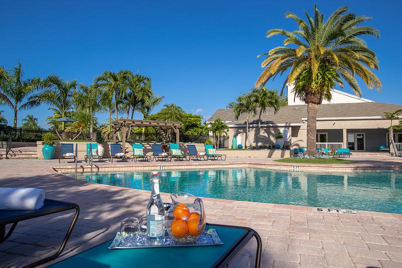 Sparkling Swimming Pool | In the sun, or in the shade, enjoy a day poolside.