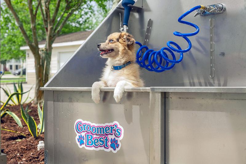 Paw-Spa | We offer pet friendly apartments in Melbourne and we even have a dog wash so you can get your pup nice and clean.
