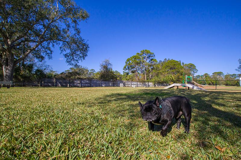 Dog Park | Bring your furry friend to our community dog park for some exercise.