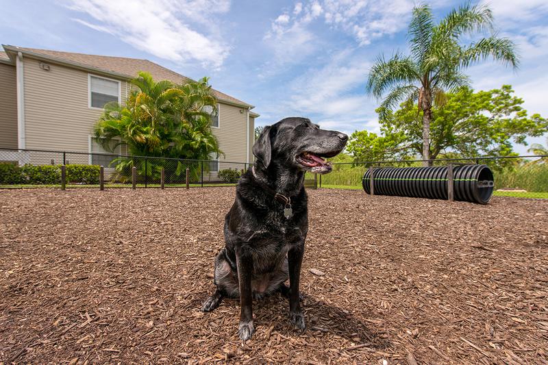 Pet Friendly | Meadow Lakes offers pet friendly apartments in Naples.