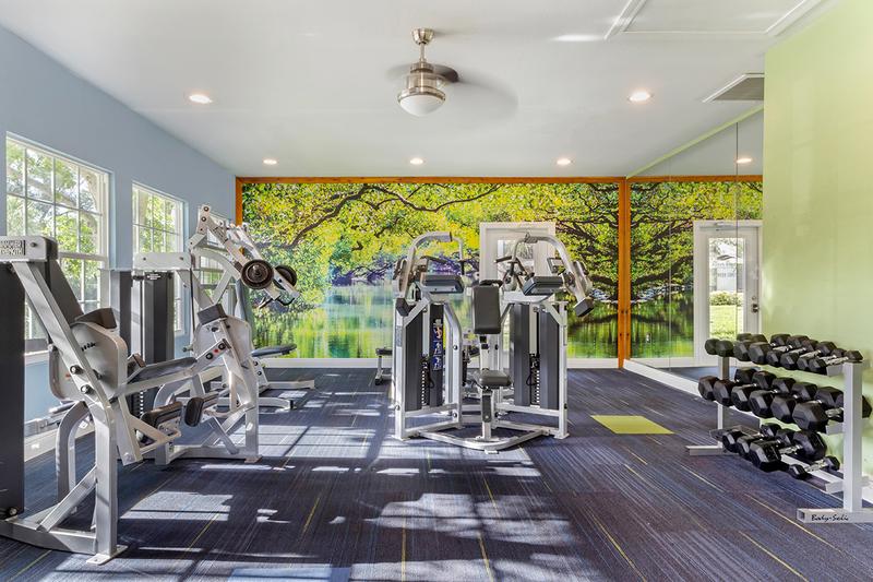 Weight Training Equipment | Our fitness center also features plenty of weight training equipment.