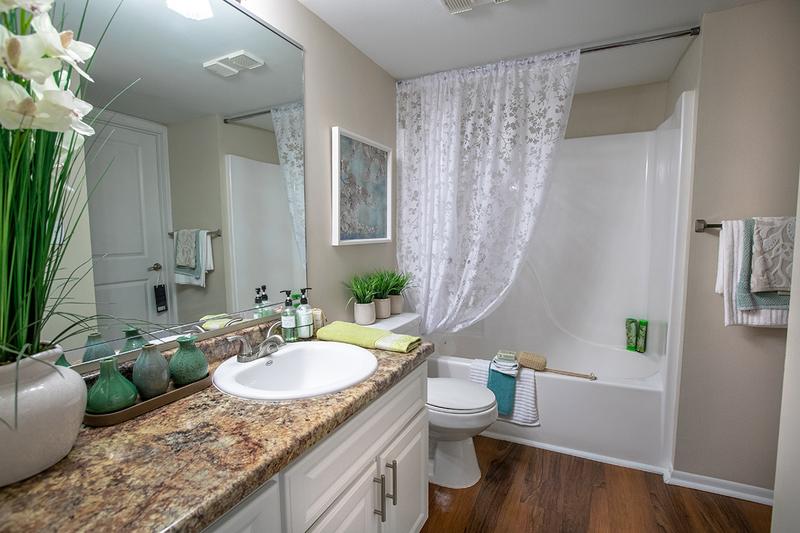 Master Bathroom | Master bathroom featuring wood-style flooring, granite-style countertops, and a large mirror.