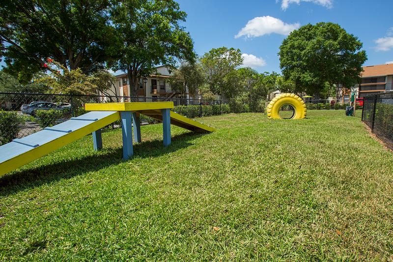 Bark Park | Our bark park features plenty of agility equipment to keep your dog in great shape.