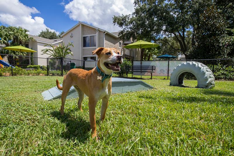 Bark Park | Our community is pet friendly and we even have a "Bark Park"! Bring your furry friend down for some exercise and to make new friends!