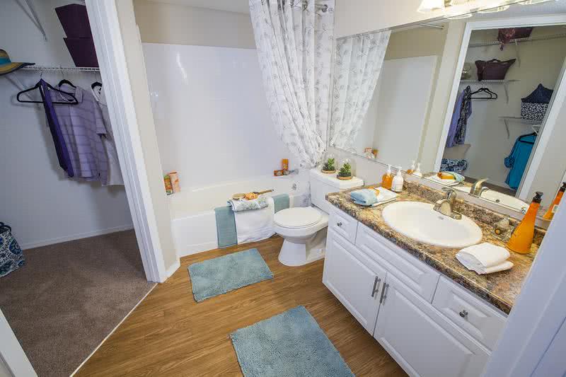 Master Bathroom & Walk-In Closet | Master bathrooms featuring large mirrors and walk-in closets.