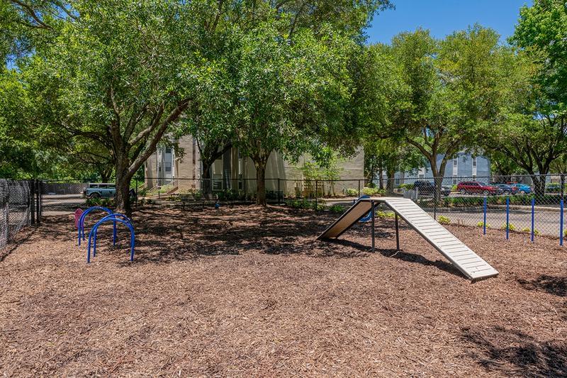 Off-Leash Dog Park | Bring your furry friend down to our off-leash dog park for some fun! They can utilize our agility equipment or meet new doggy friends.