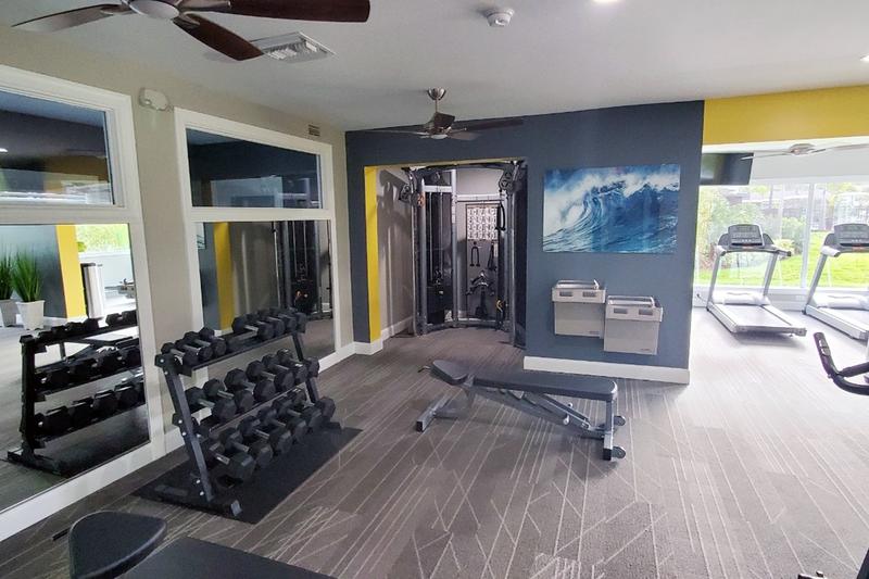 Weight Training Equipment | Our fitness center features all the weight training equipment you could think of!