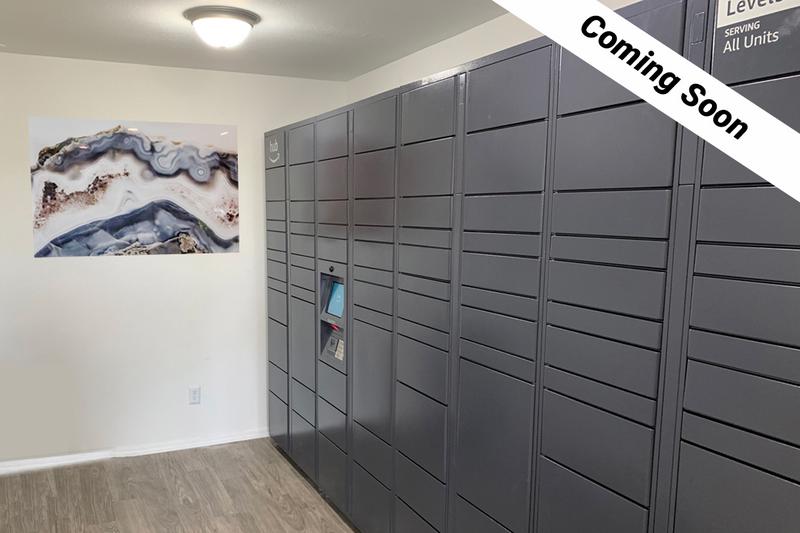 Amazon HUB Package Lockers | Retrieving your amazon packages just got easier with our Amazon hub package lockers! (Coming Soon)