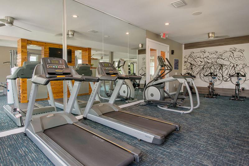 Cardio Equipment | Our fitness center has all the cardio and weight training equipment including treadmills and spinning bikes.