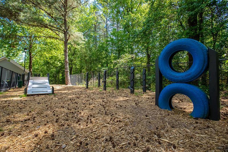 Off-Leash Dog Park | Bring your pup down to our off-leash dog park filled with agility equipment for some exercise.