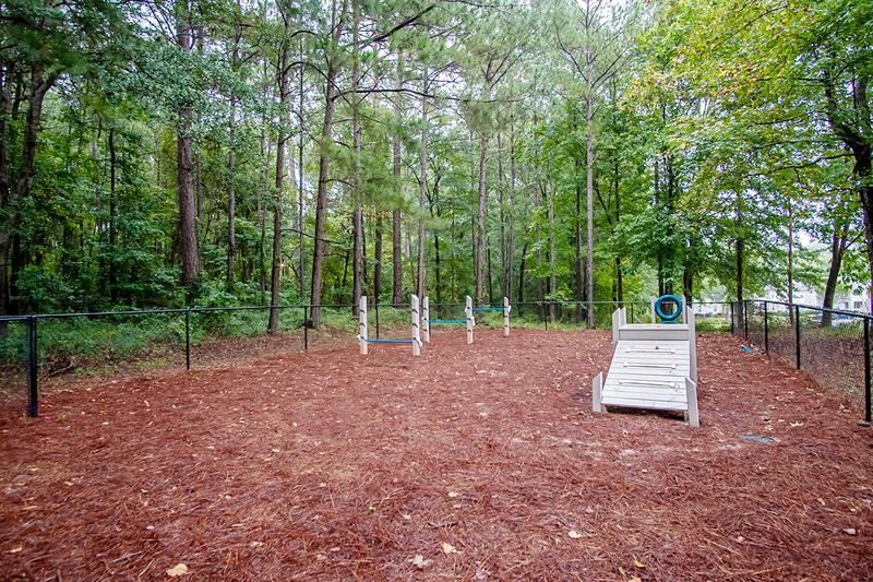 Dog Park | We offer pet friendly apartments in Macon. We even have an off-leash dog park onsite!