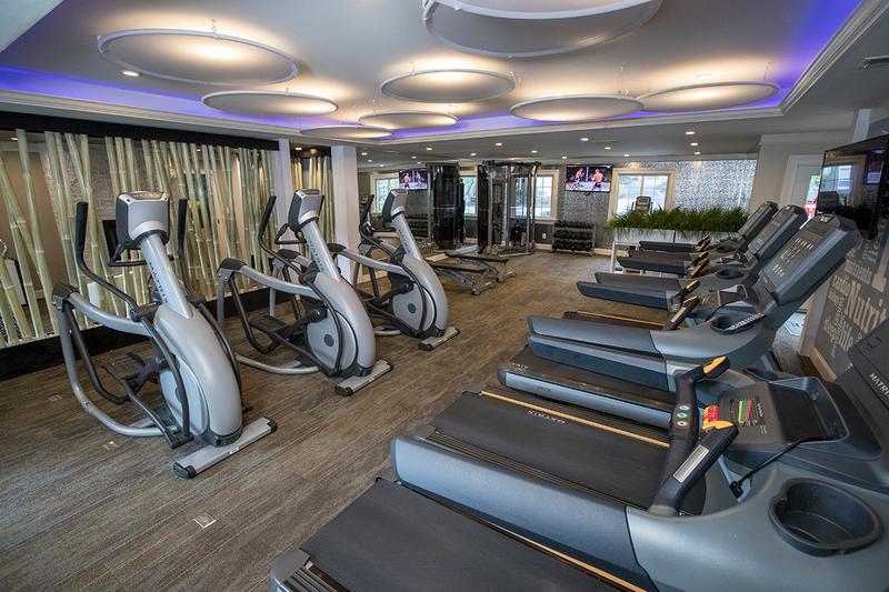 Cardio Equipment | Our fitness center has all the cardio equipment you need!