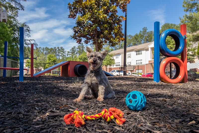 Off-Leash Dog Park | Retreat 138 wants to welcome you and your furry friends home! Bring your furry friend down to our brand new Dog Park for some exercise.