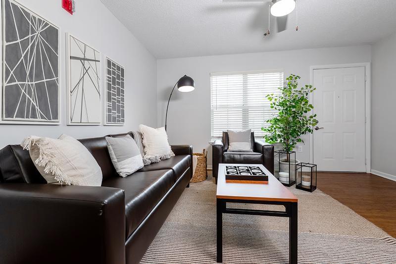 Living Room | Each living room comes with TV, couch, lounge chair, and coffee table!