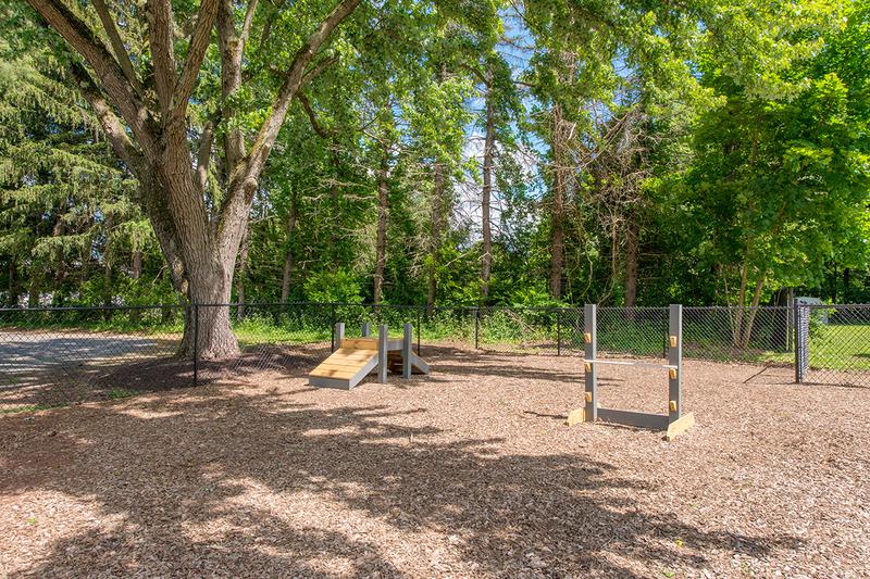 On-Site Dog Park | Alpine Commons offers pet friendly apartments in Amherst with an off-leash dog park onsite.