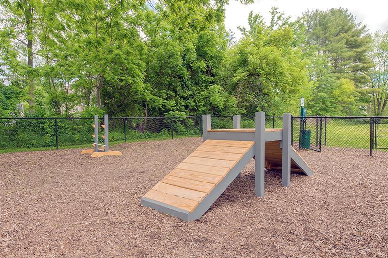 Agility Equipment | Our off-leash dog park features agility equipment for your pup.