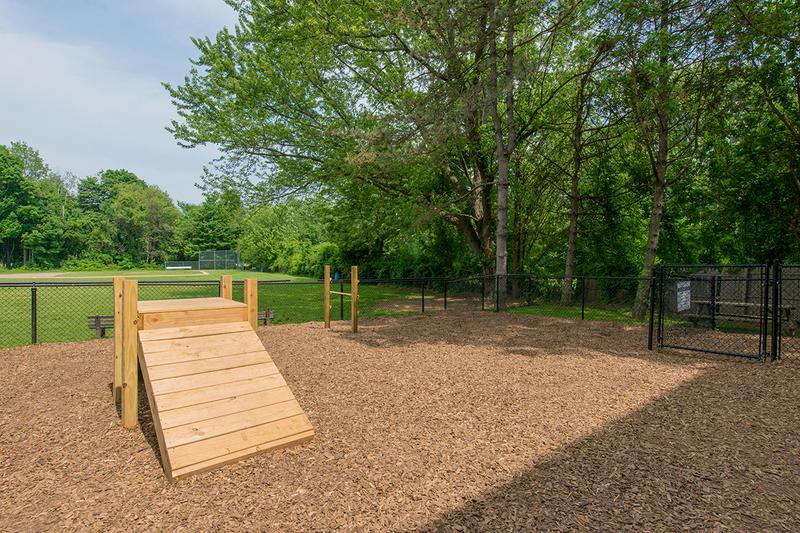 Off-Leash Dog Park | Bring your dog to our on-site dog park so they can get all the exercise they need!