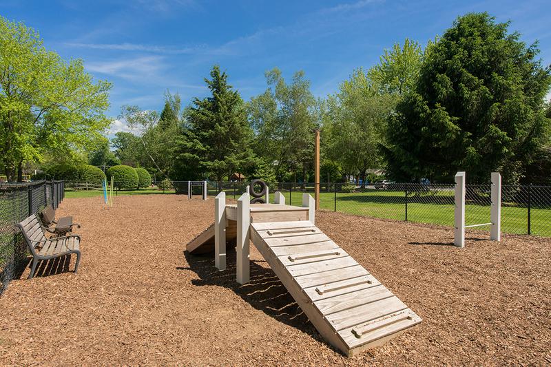 Off-Leash Dog Park | Sugarloaf Estates offers pet friendly apartments in Sunderland and even have an off-leash dog park right in our community!