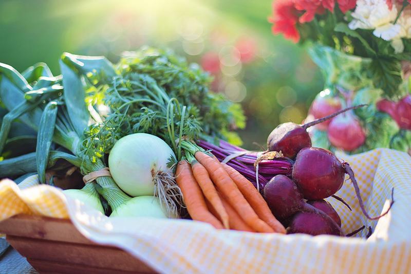 Community Garden | Put your green thumb to work in our community garden.