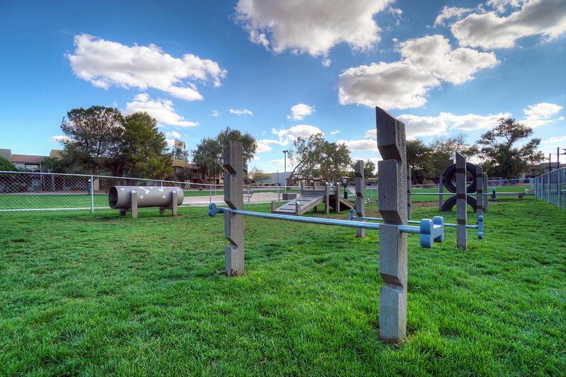 Dog Park | Bring your furry friend to our dog park for some fun.