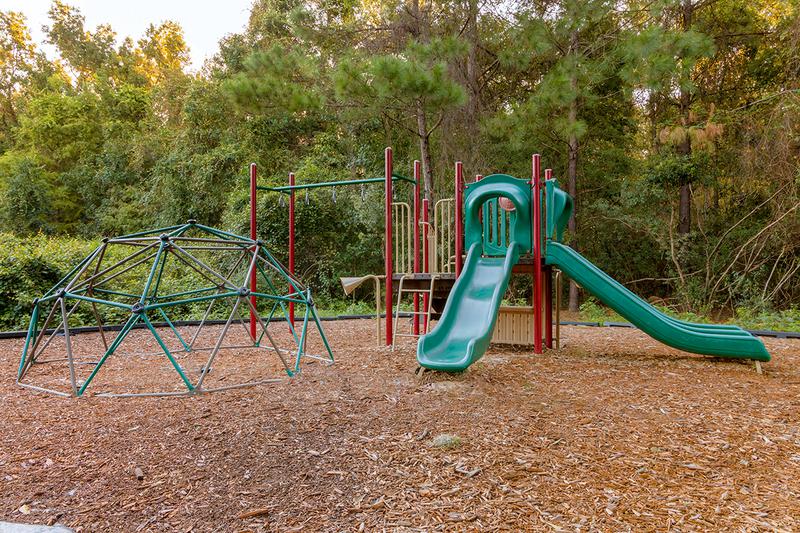 Playground | Bring the kids down to the playground for some fun.
