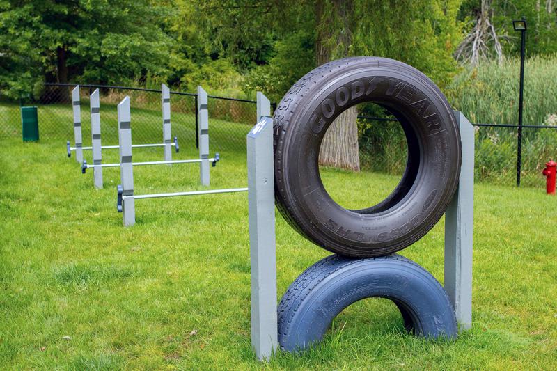 Agility Equipment | Our dog park features plenty of agility equipment for your dog to have some fun.
