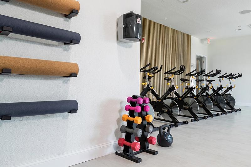 Yoga & Free Weight Equipment | Free weights, yoga mats, blocks and spin bikes... have everything you need to get an incredible work out!