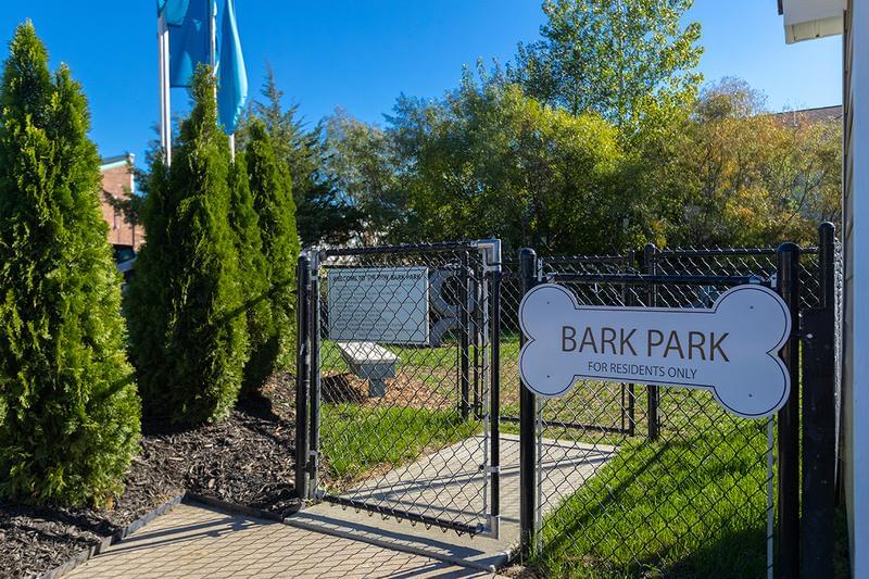 Off-Leash Dog Park | Bring your furry friend down to our off-leash dog park.