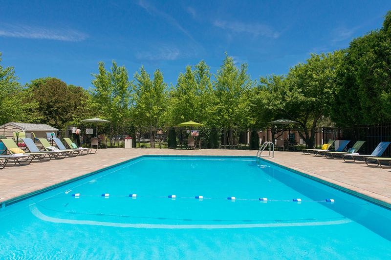 Resort-Style Pool | Take a dip in our resort-style pool. (Updates coming soon)