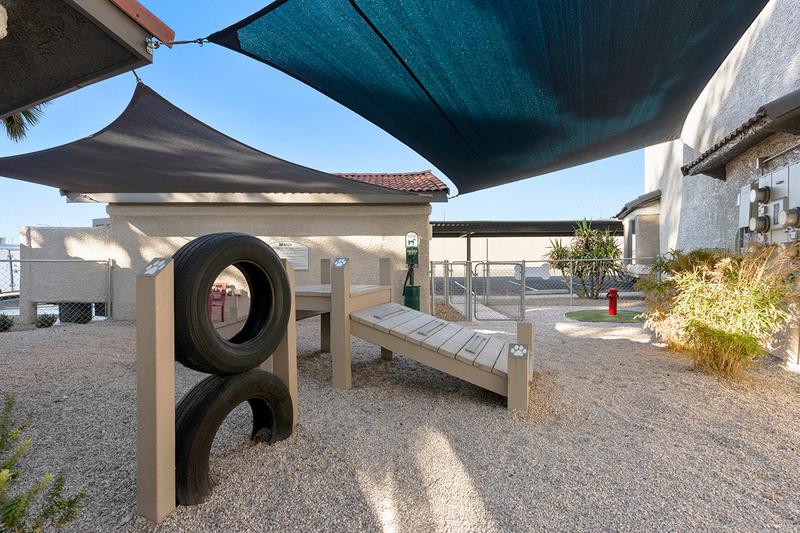 Shaded Dog Park Agility Equipment | Our shaded dog park also features agility equipment for your pup.