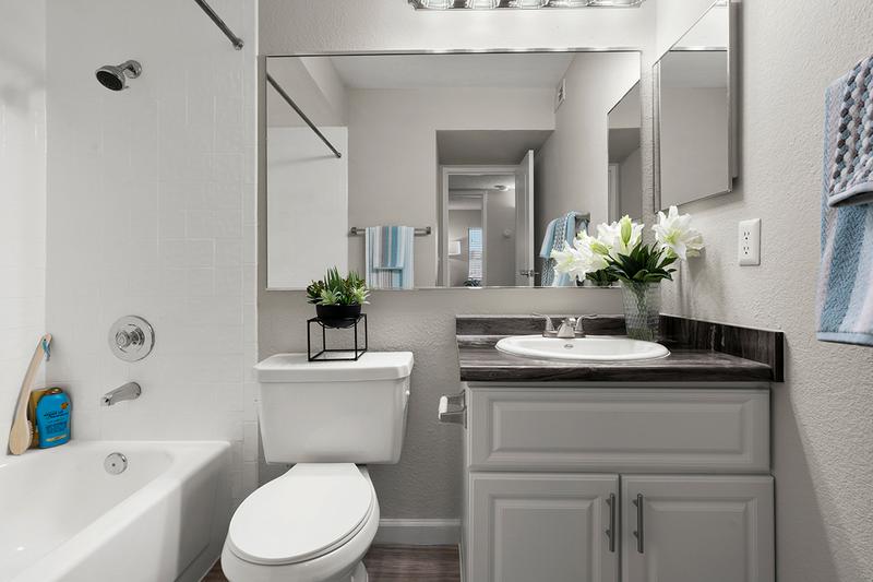 Bathroom | Newly remodeled bathrooms featuring granite-style counters, wood-style flooring, and a large mirror.