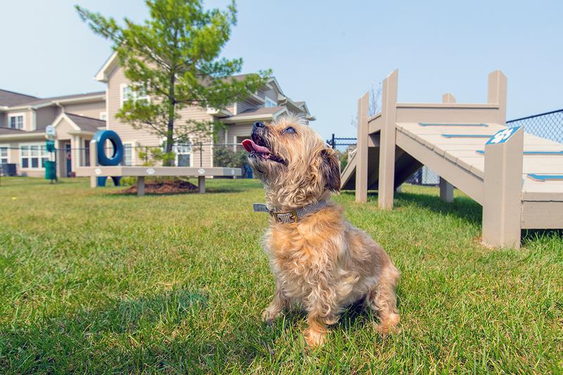 Pet Friendly | We offer pet friendly apartments in Monroe, so be sure to bring your furry friend along!