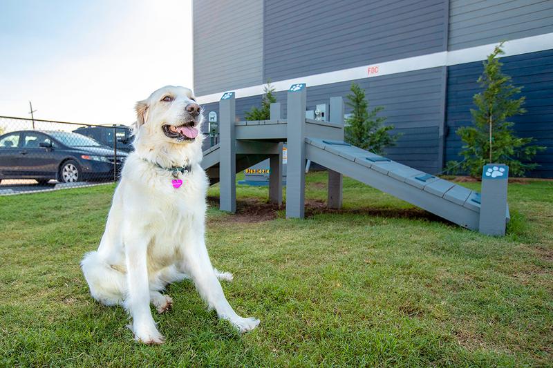 Off-Leash Dog Park | Ruff Ruff, dogs love our Bark Park.