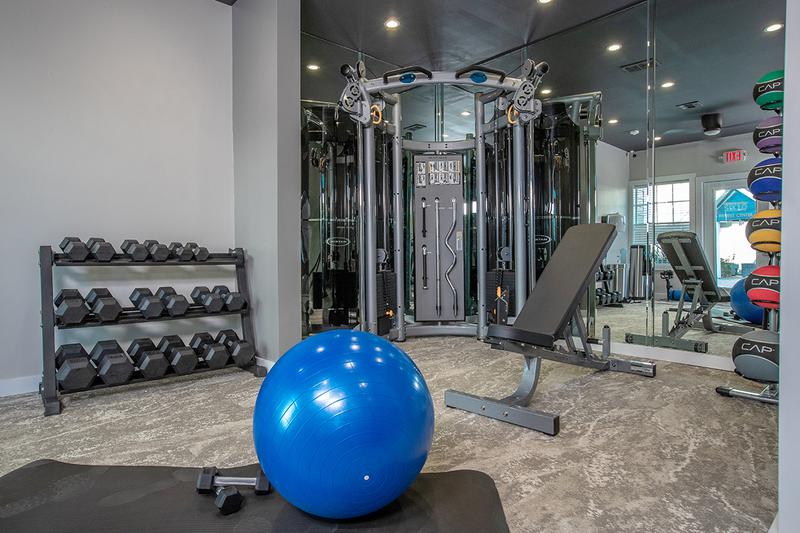 Weight Training Equipment | Fitness center includes free weights.