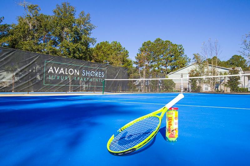 Shared Tennis Courts | Residents are able to utilize tennis courts at our sister property, Avalon Shores, located right across the street.