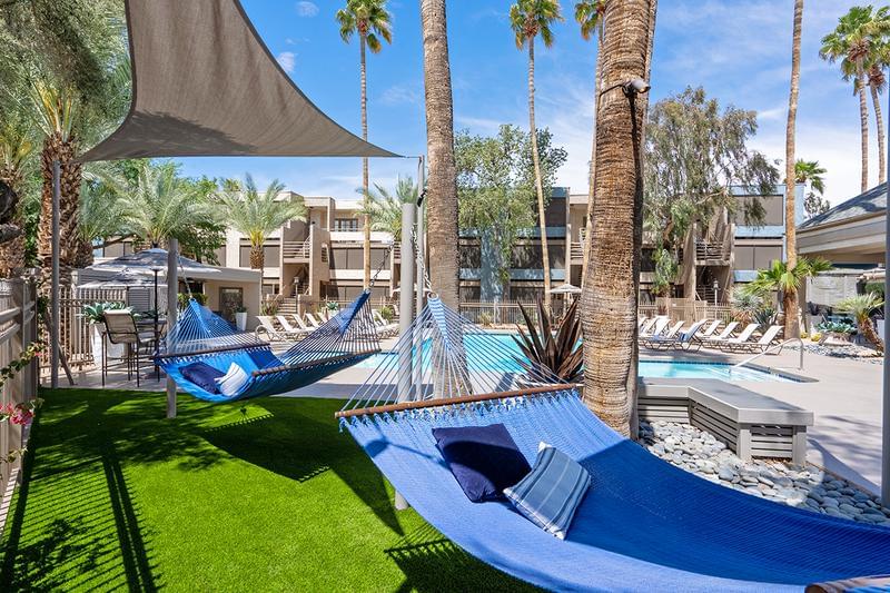 Hammock Garden | Lay out in our hammock garden located in the pool area.