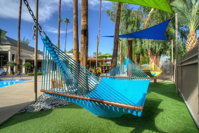 Hammock Garden | Lay out in our hammock garden located in the pool area.