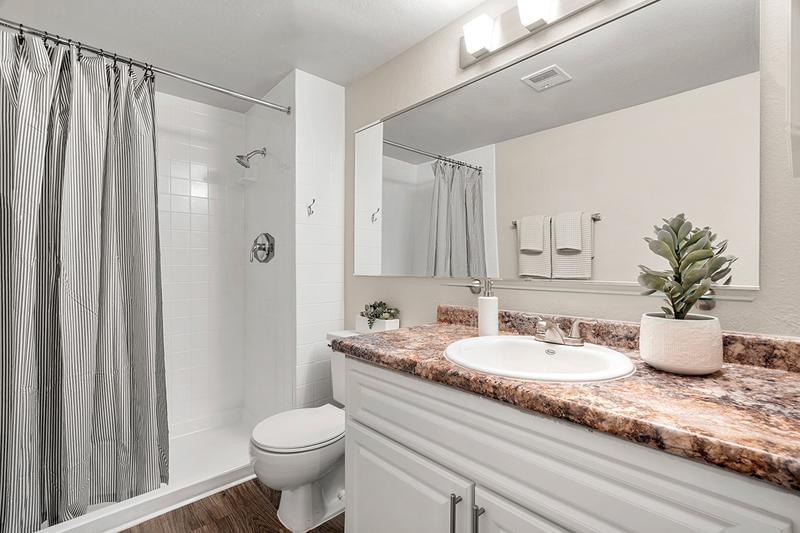 Master Bathroom | Master bathroom featuring wood-style flooring, oversized vanity, and large mirror.