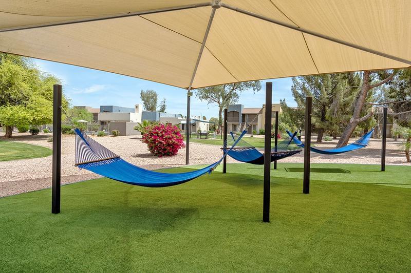 Hammock Garden | Our hammock garden is the perfect hangout spot to get the family together and enjoy the AZ weather.
